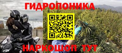 дурь Гусев