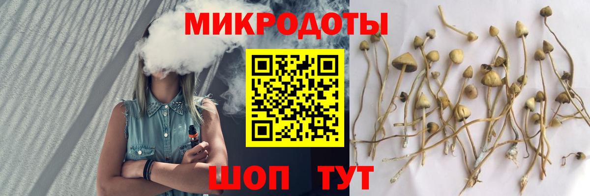 Псилоцибиновые грибы прущие грибы Нефтеюганск